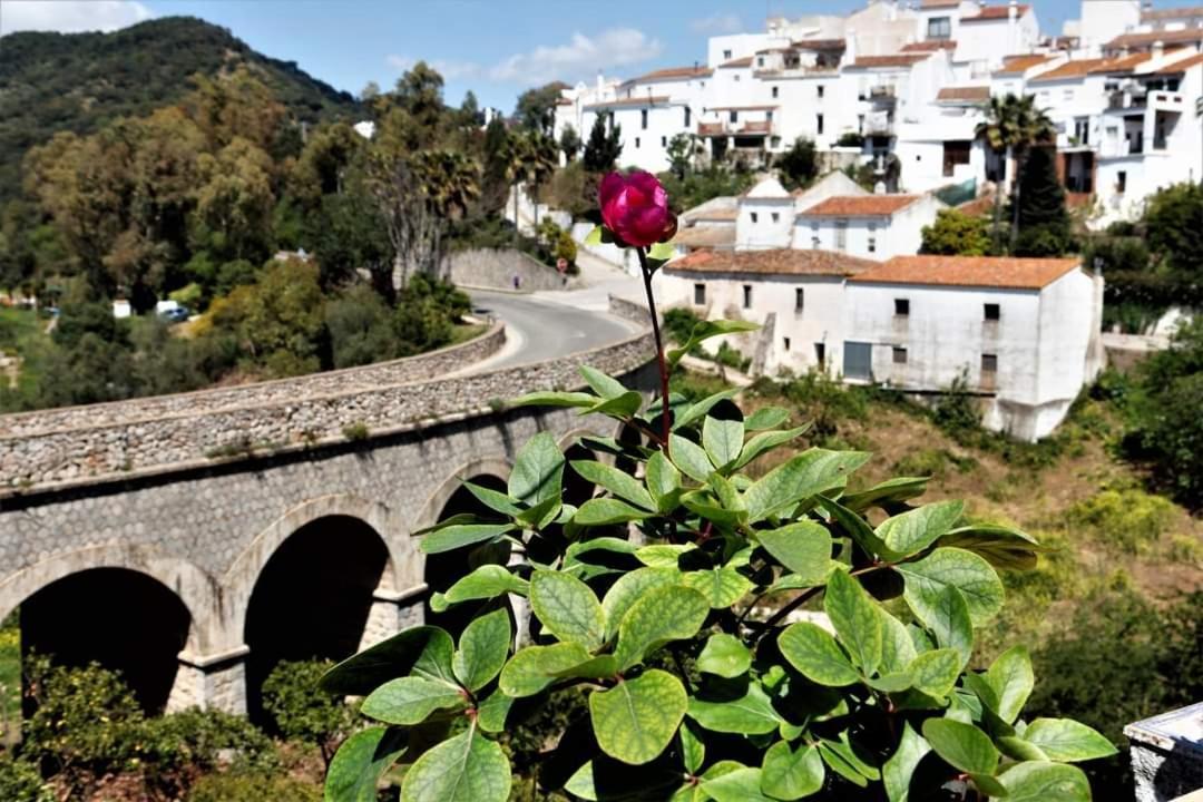 Casa Rural Sierras De Gaucin Luaran gambar
